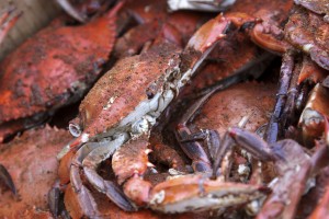 Do You Know Your Seafood Vocabulary?