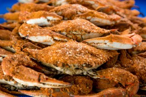 Baltimore Steamed Crabs Restaurant