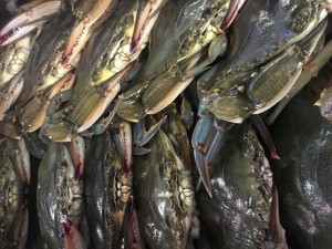 soft-shell crabs