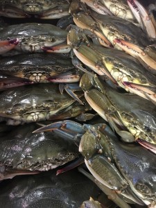 soft-shell crabs