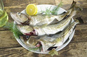 Safety Tips for Filleting a Fish