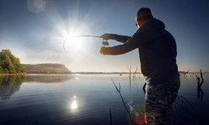 5 Types of Fish That Live in the Chesapeake Bay