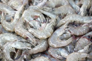 3 Seafood Preparation Tips 