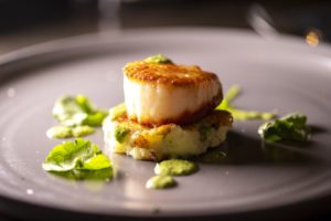 What Are Scallops and Why Are They So Tasty?