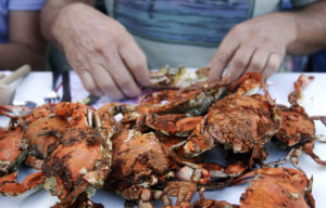 These Tasty Edible Crabs are Delighting Diners Everywhere! 