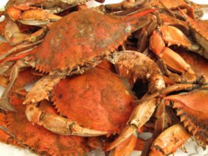 Cooking, Eating, and Storing Crabs