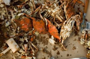 4 Commonly Asked Questions About Eating Crabs